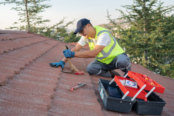 Best Storm Damage Roof Repair  in Newark, NJ